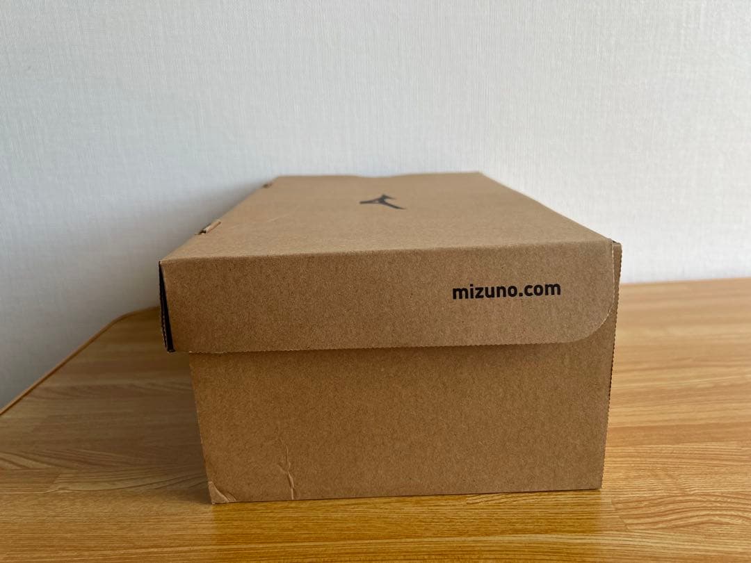 未使用 MIZUNO ザミズノエナジーウルトラライト 26cm レディース