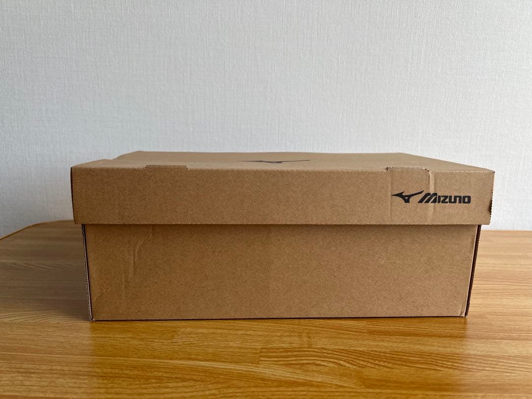 未使用 MIZUNO ザミズノエナジーウルトラライト 26cm レディース