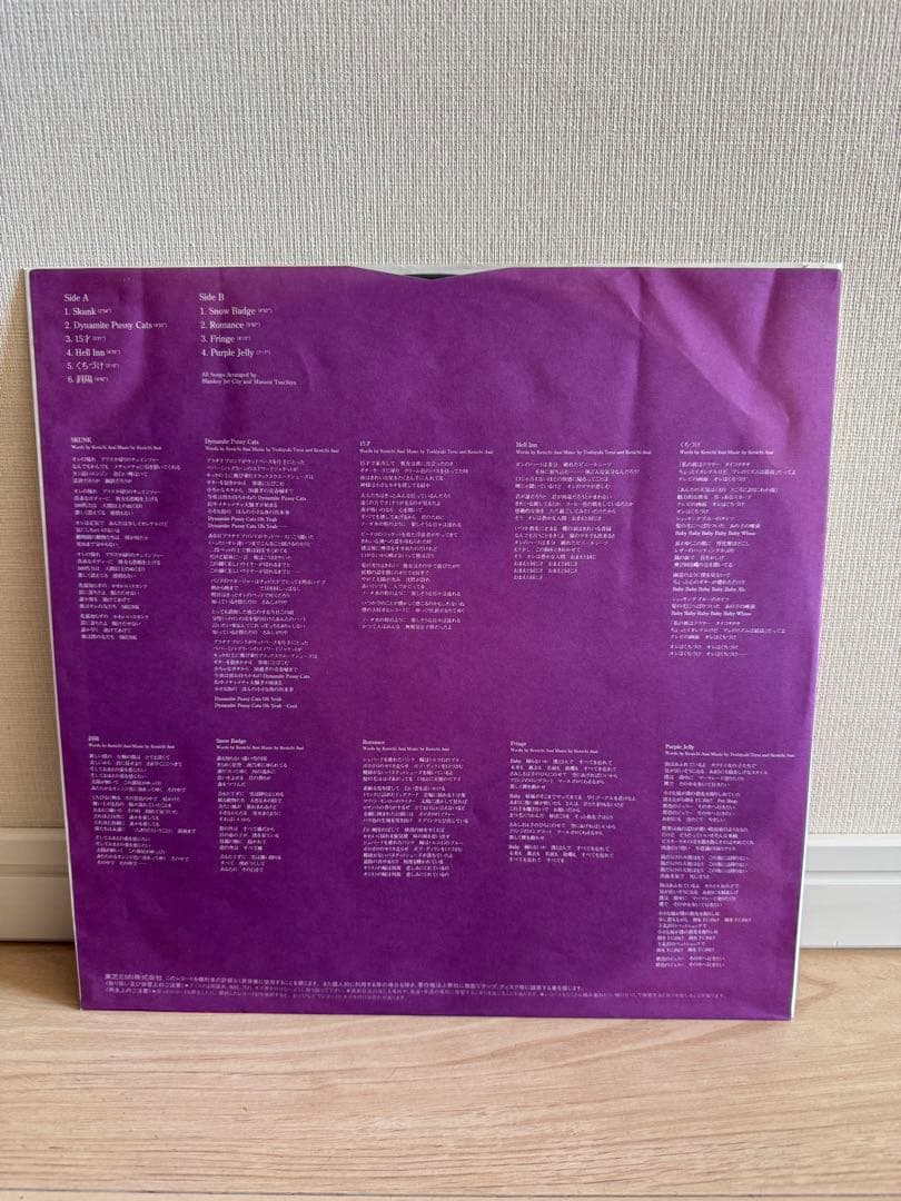 Blankey Jet City Skunk レコード ブランキージェットシティ