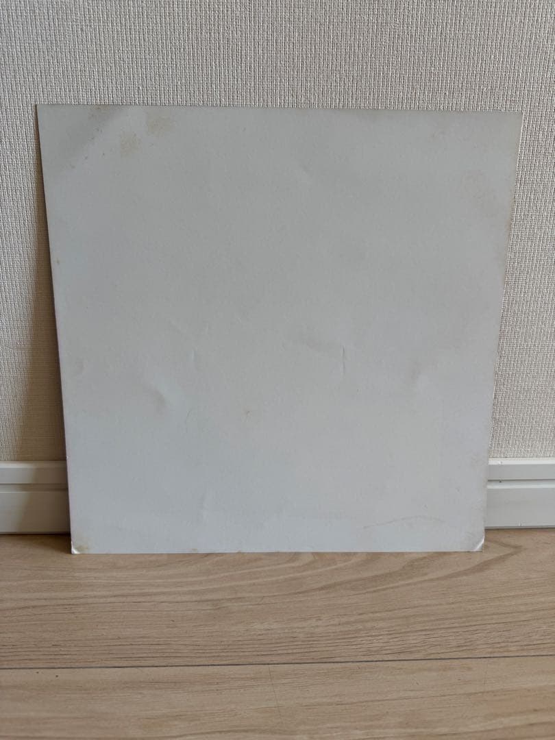 Blankey Jet City Skunk レコード ブランキージェットシティ