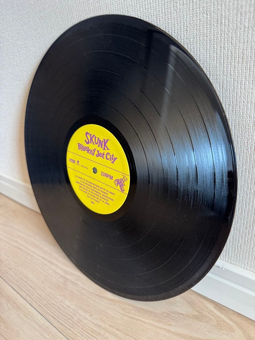 Blankey Jet City Skunk レコード ブランキージェットシティ