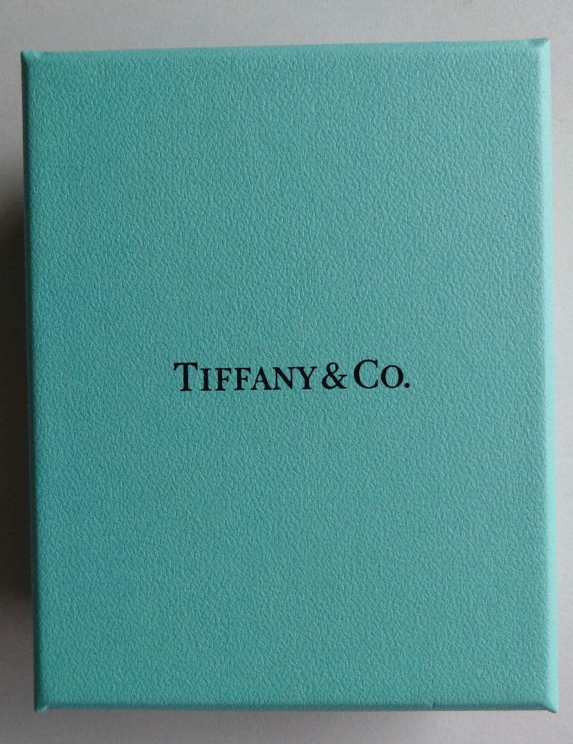 Tiffany & Co. 幅広マネークリップ　メンテナンスクロスのおまけ付き