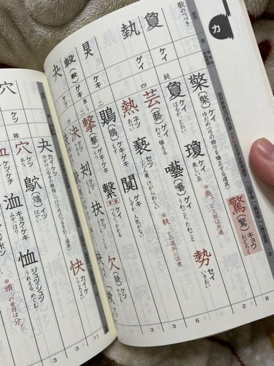 漢字音符字典 : 埋もれていた漢字のつながり発見