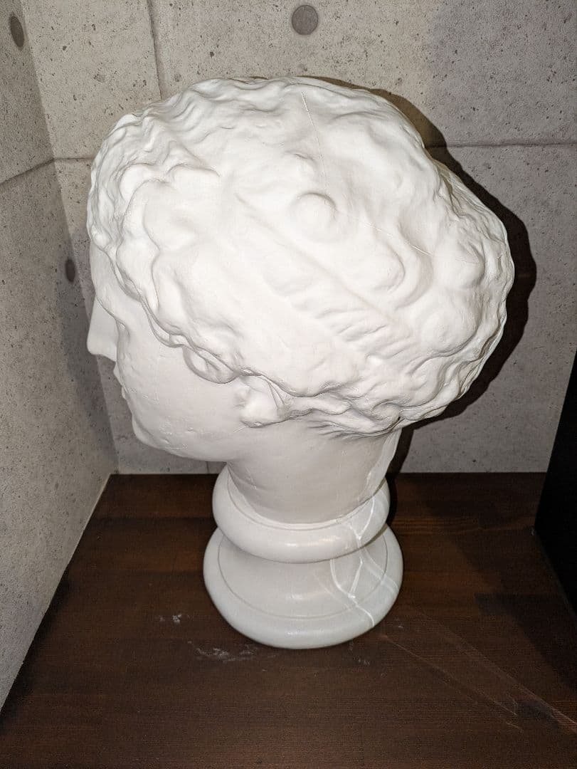 パ〇ィーン【送料無料】石膏像 ラボルト パルテノン 首像　美大　デッサン