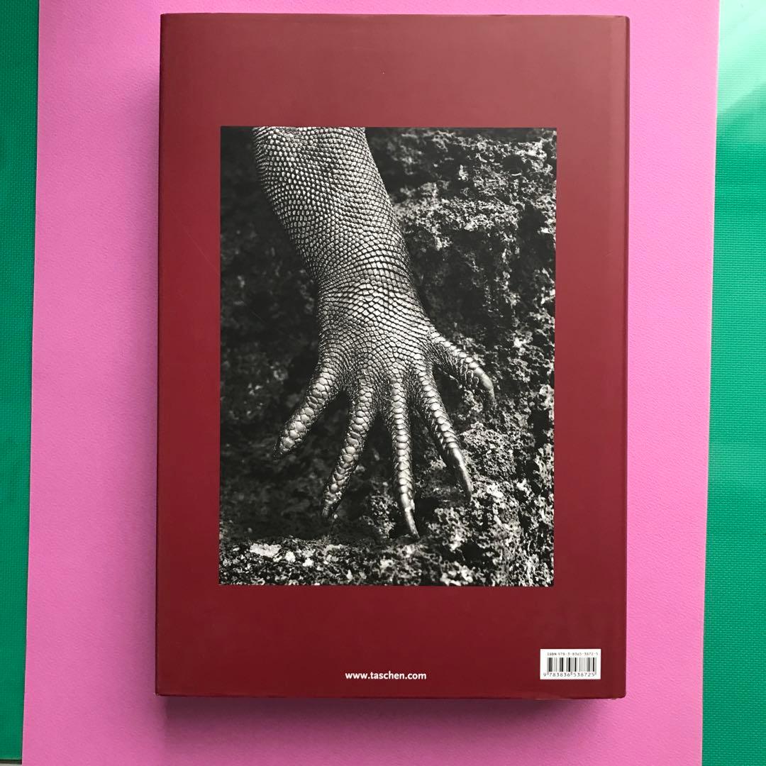 GENESIS Sebastião Salgado TASCHEN