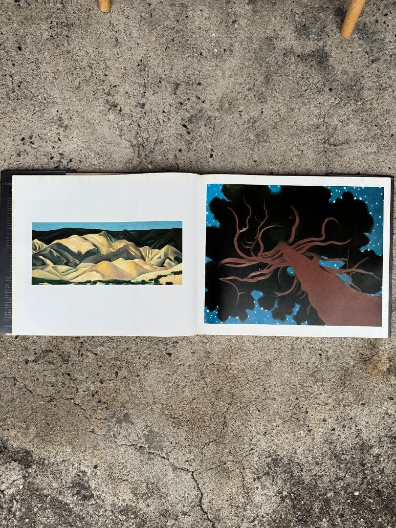 ia O'Keeffe ジョージア・オキーフ 画集＋写真集セット