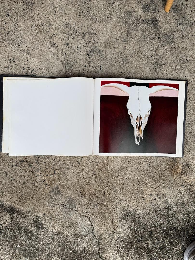 ia O'Keeffe ジョージア・オキーフ 画集＋写真集セット
