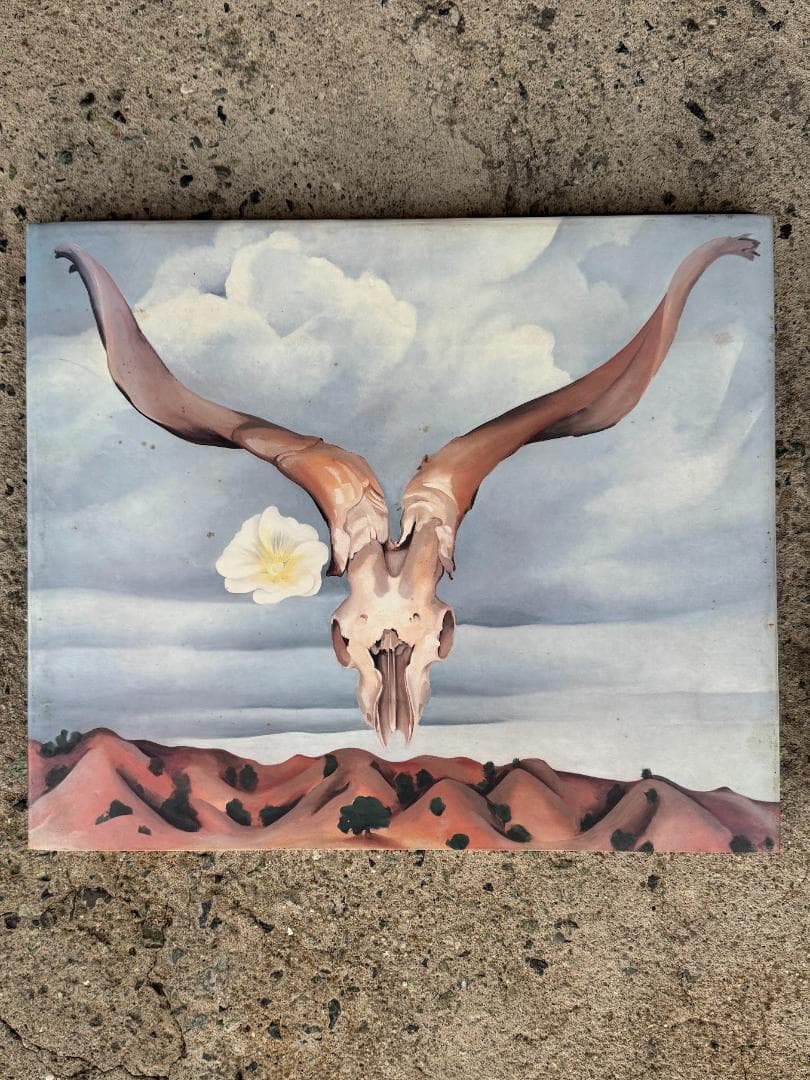 ia O'Keeffe ジョージア・オキーフ 画集＋写真集セット