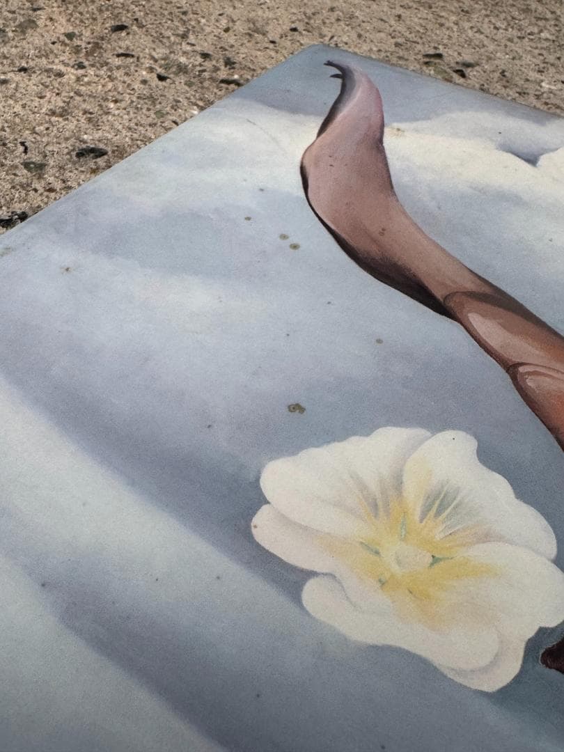 ia O'Keeffe ジョージア・オキーフ 画集＋写真集セット