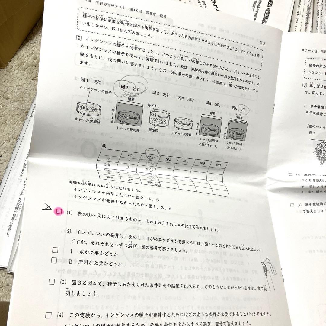 日能研　学習力育成テスト5年　講習テスト