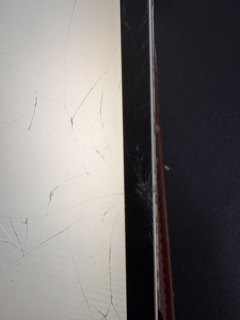 アリスiPad Pro 12.9インチ（第3世代）64GB