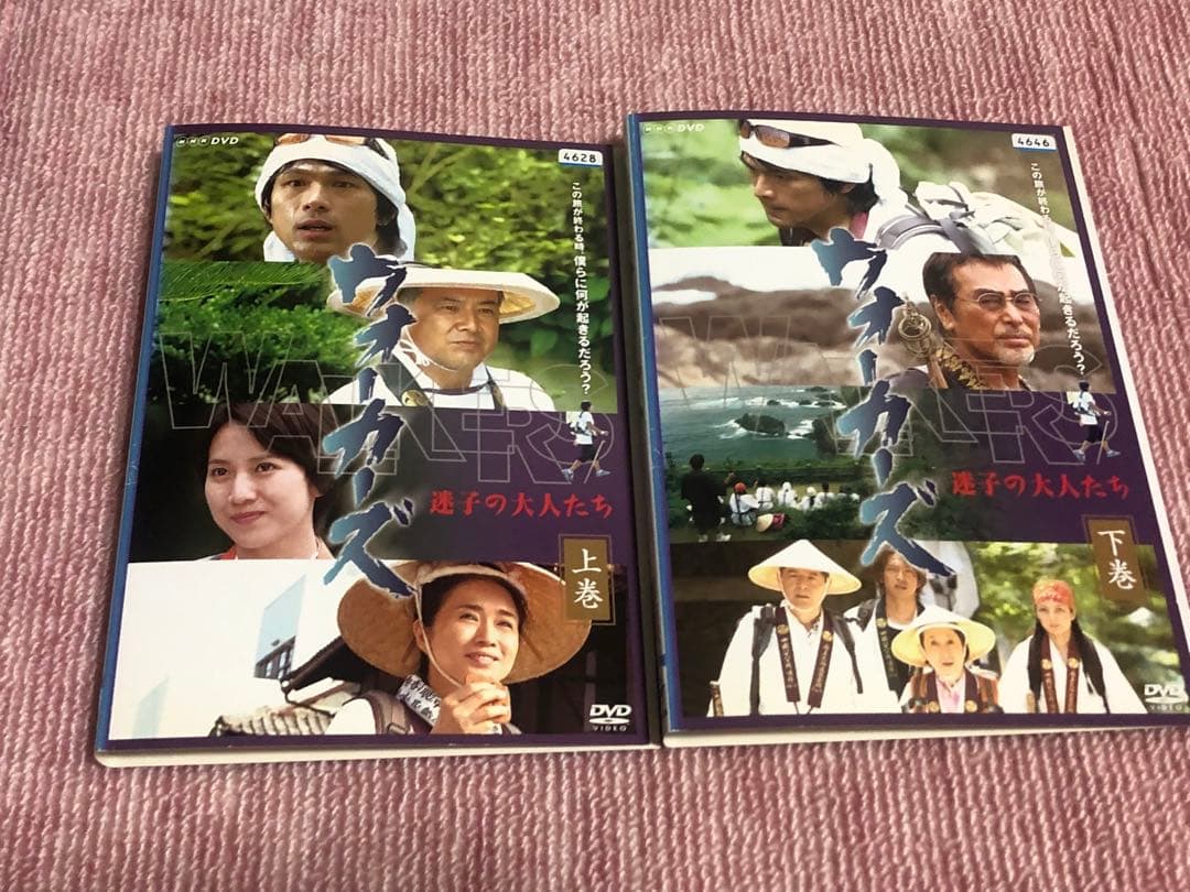 ウォーカーズ 迷子の大人たち《レンタル落ちDVD・廃盤》