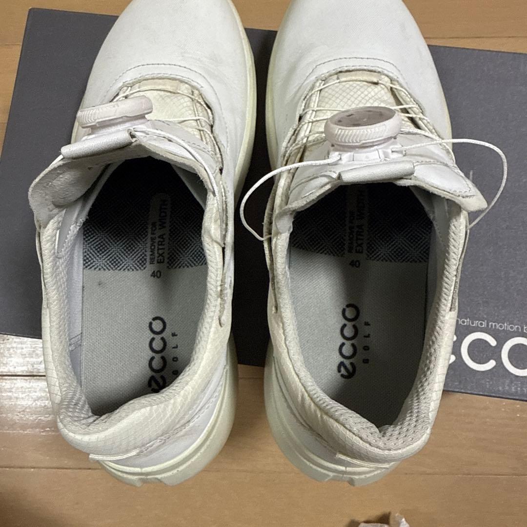 ecco エコー　ゴルフシューズ