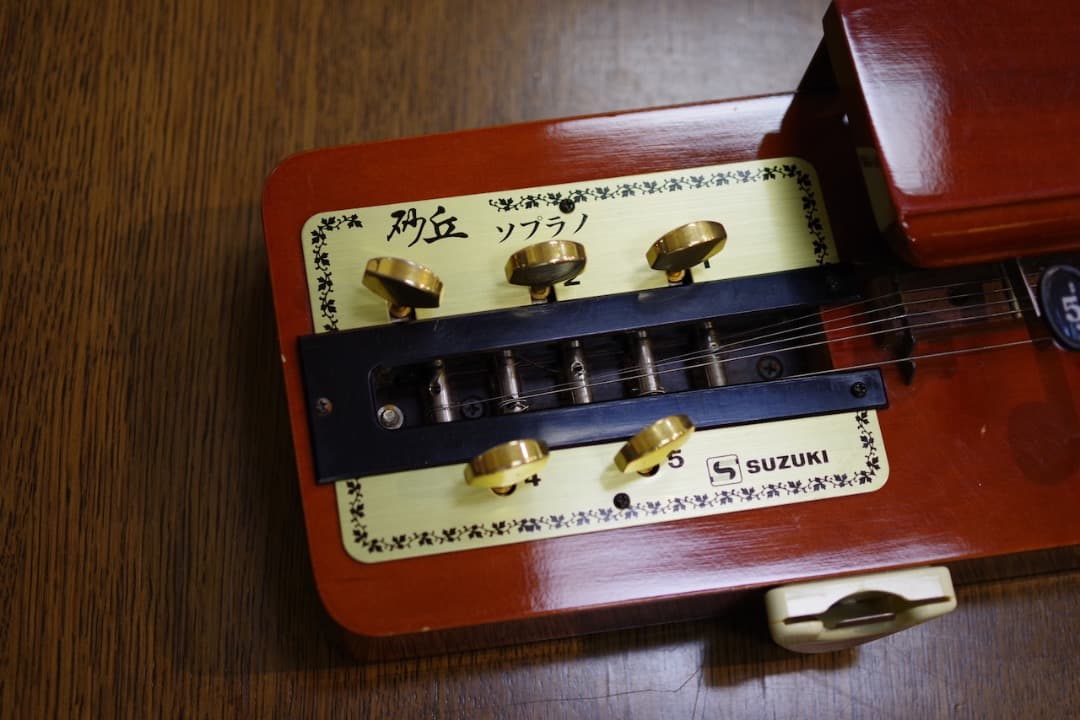 スズキ大正琴「砂丘」4本（ソフトケース付）