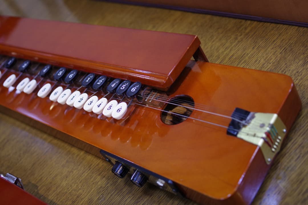 スズキ大正琴「砂丘」4本（ソフトケース付）