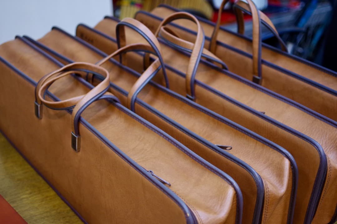 スズキ大正琴「砂丘」4本（ソフトケース付）