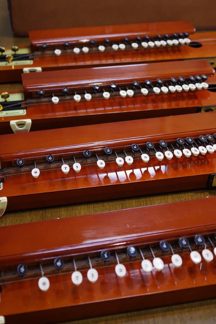 スズキ大正琴「砂丘」4本（ソフトケース付）