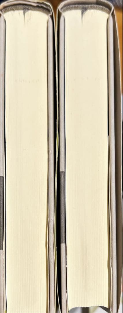 放物型発展方程式とその応用 (上・下)