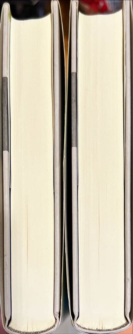 放物型発展方程式とその応用 (上・下)