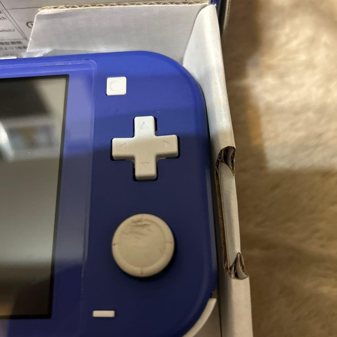 Nintendo Switch Lite 青 不動　水没