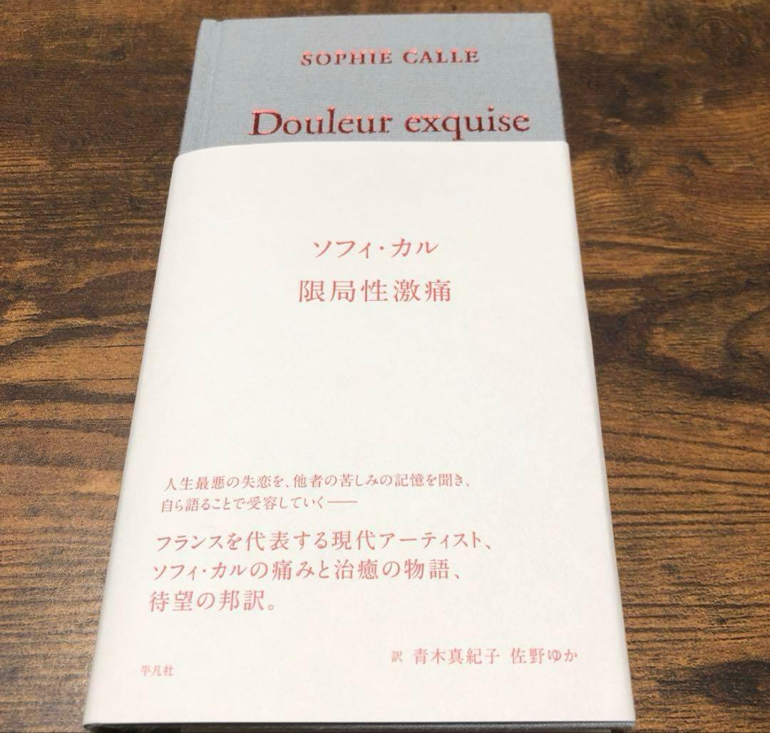 限局性激痛 Douleur exquise ソフィ・カル