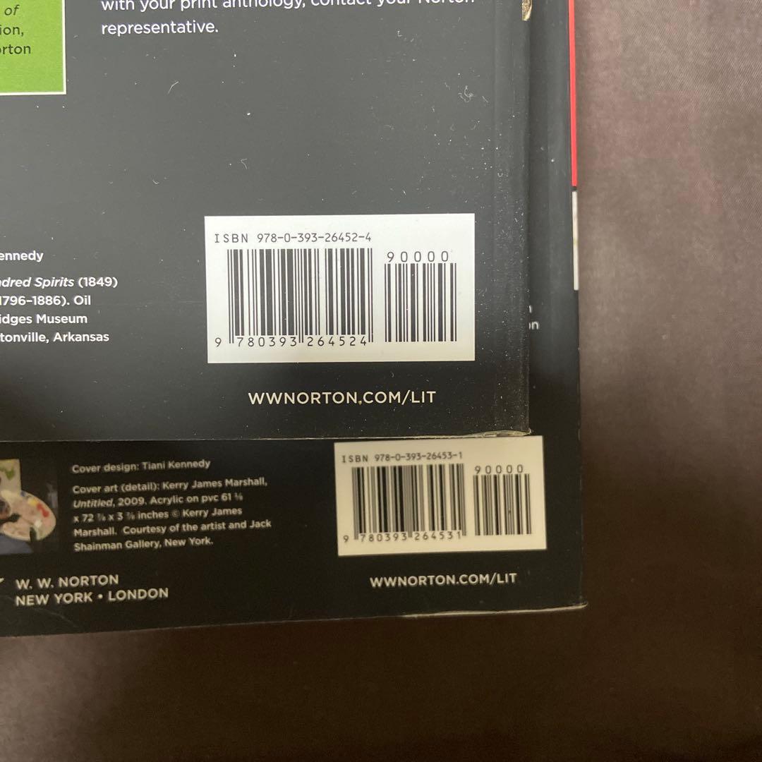 洋書 The Norton Anthology American Literature