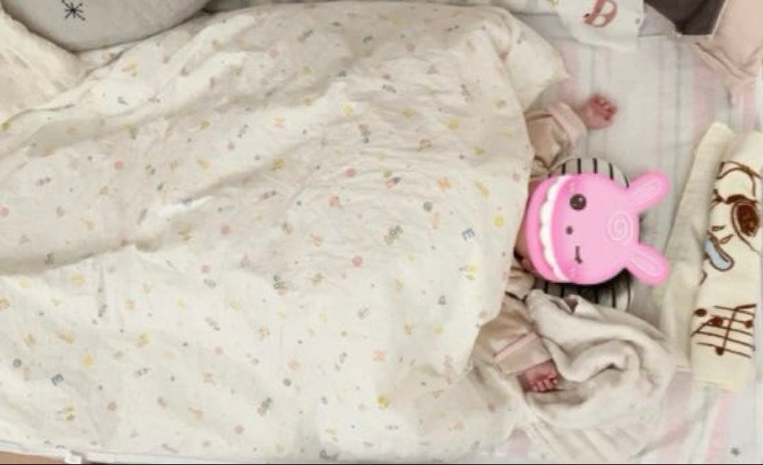 【美品】京都西川　ローズベビー 羽毛ふとん 10点セット 色:クリーム