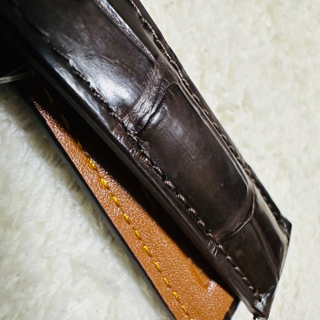 2008#19mm-16mmダークブラウン★ スイス製★本物クロコダイルベルト