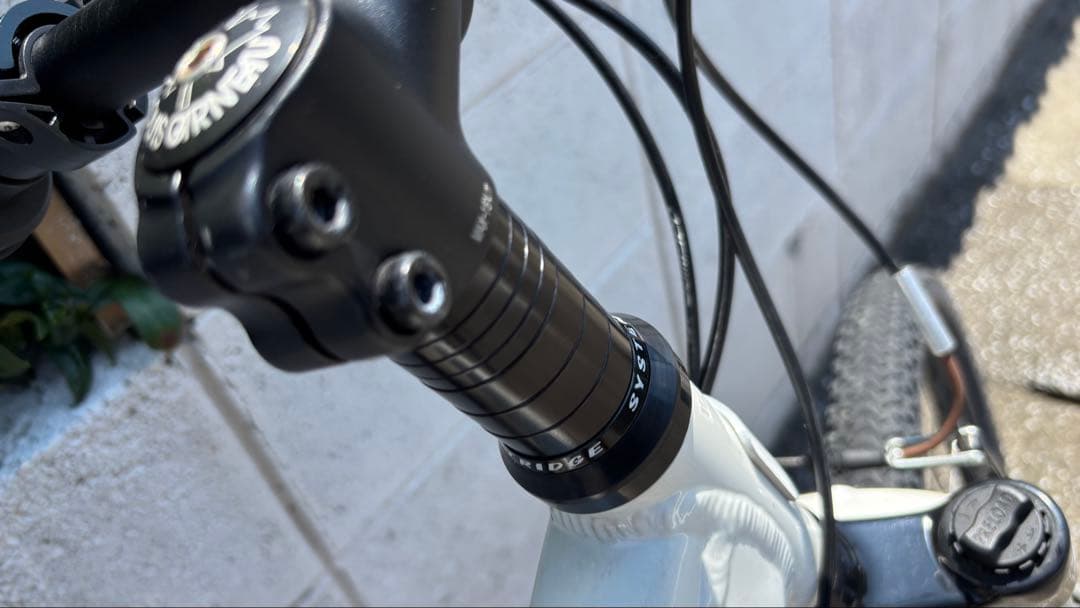 ルイガノキッズ 24インチLOUIS GARNEAU 8万程子供用宮崎県限定