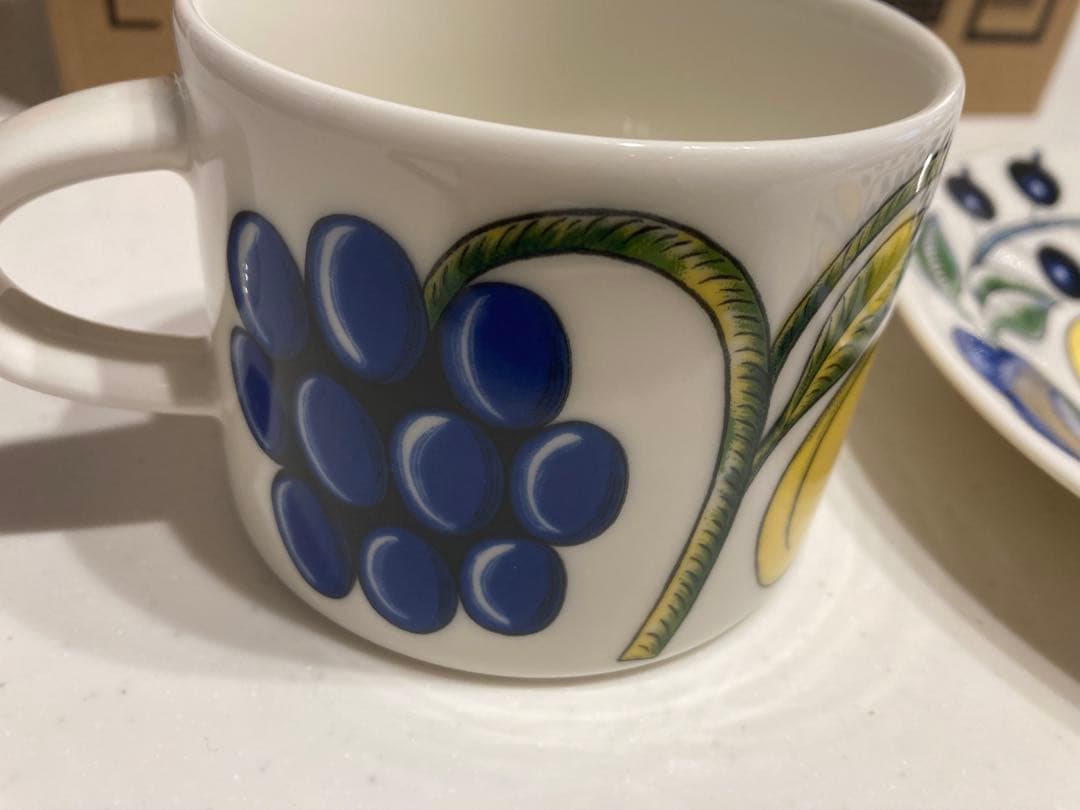 新品未使用パラテッシ　プレート 26cm &カップソーサー