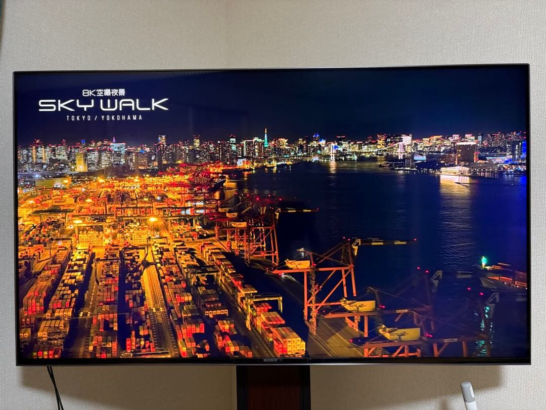 SONY BRAVIA KJ-55X9500H（2021年製）