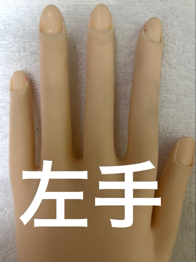 JNEC認定モデルハンドとルースキューティクルシール