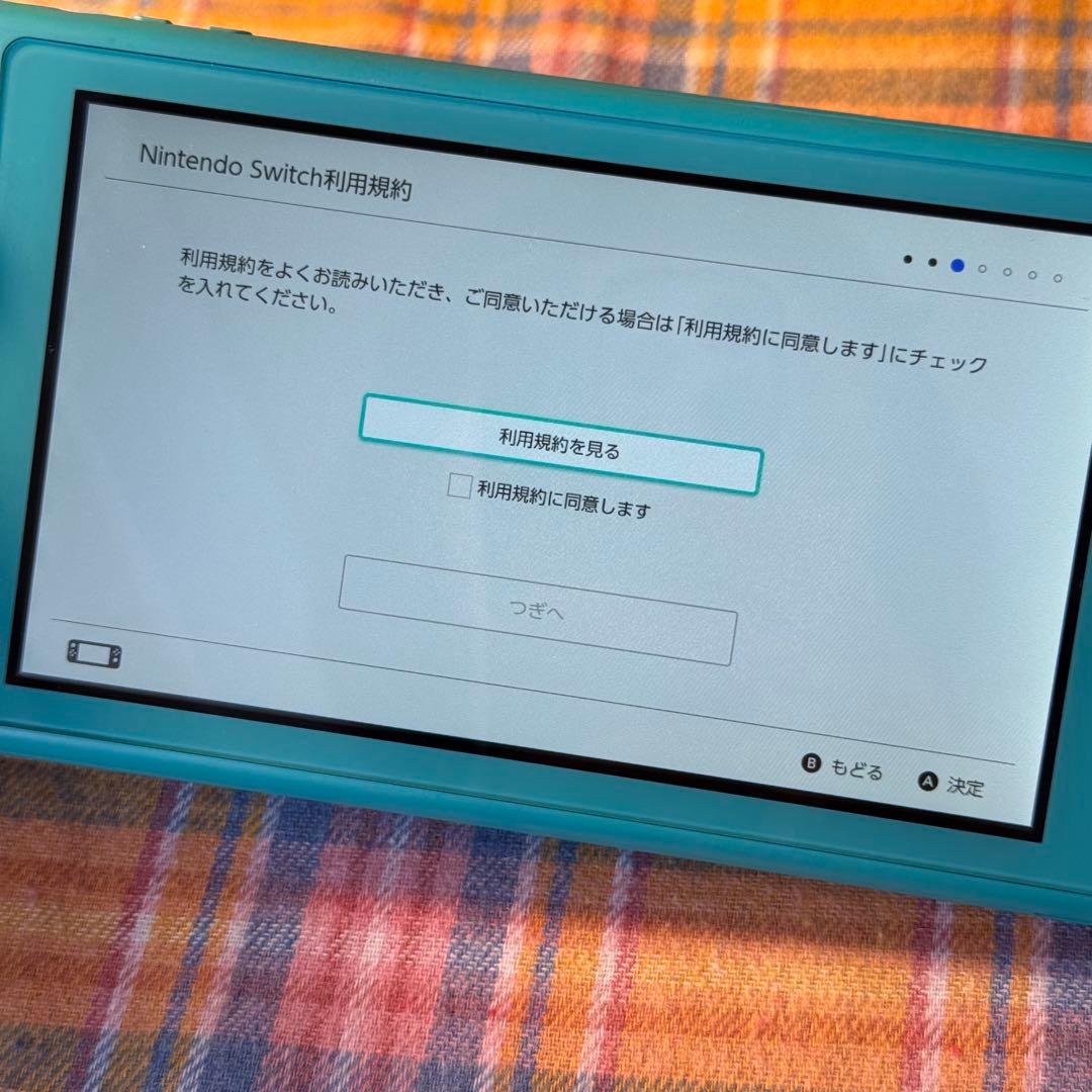 Nintendo Switch Lite ターコイズ 本体 良好状態 動作確認済