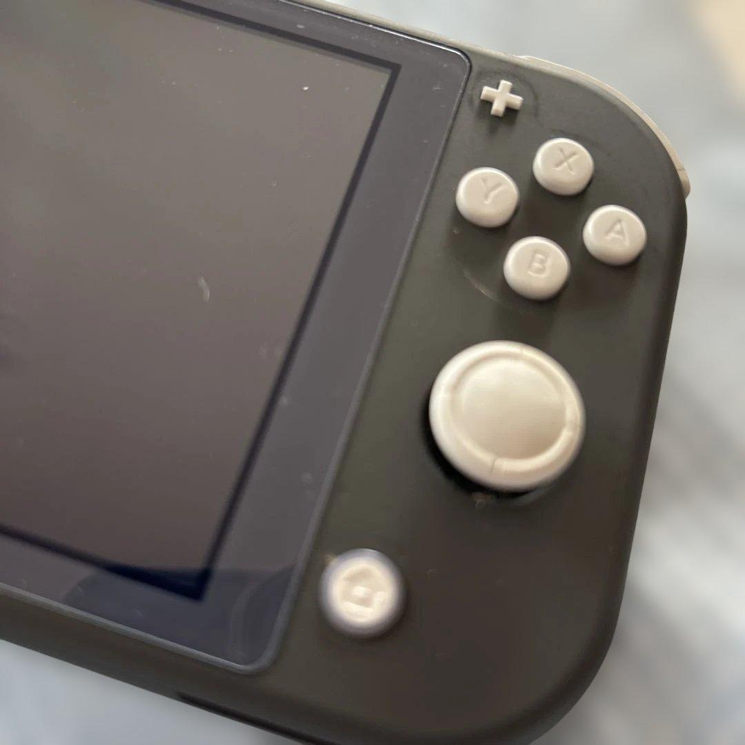 Nintendo Switch Nintendo Switch LITE