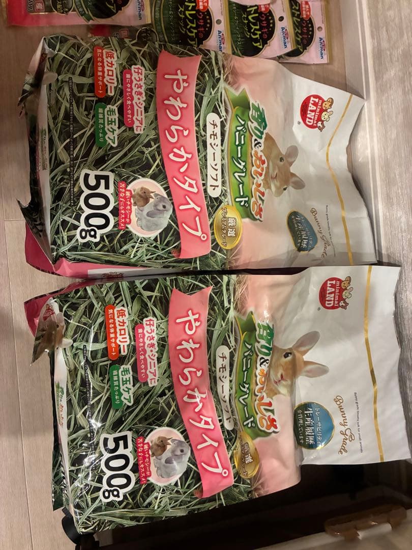 うさぎ　飼育セット