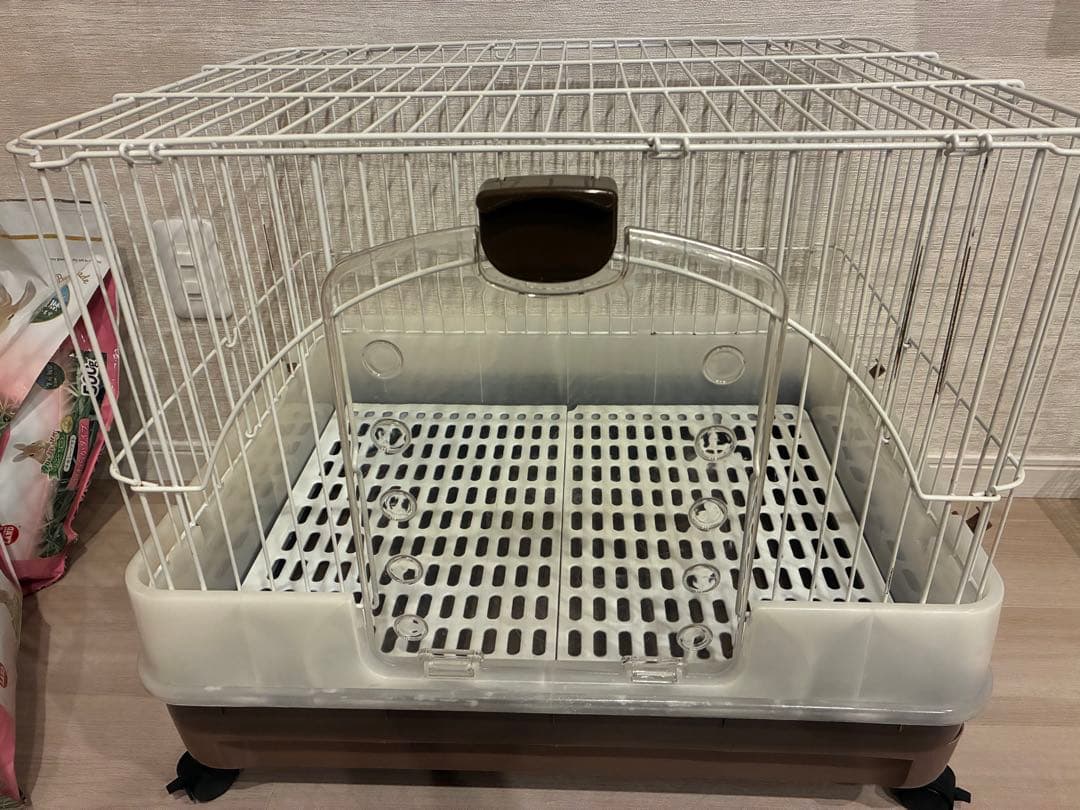 うさぎ　飼育セット