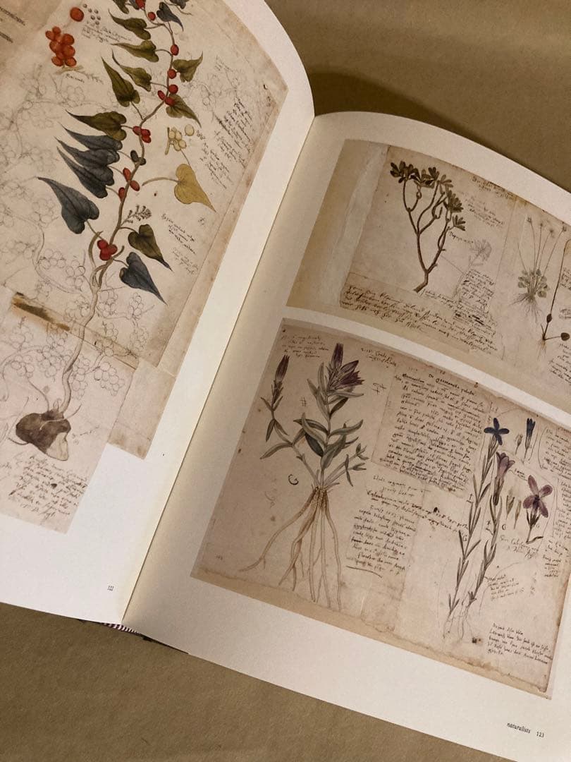 Botanical Sketchbooks 植物　スケッチ　絵画　洋書