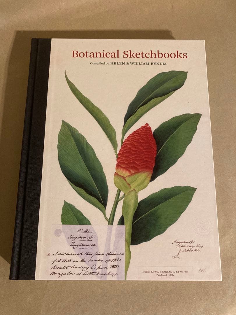 Botanical Sketchbooks 植物　スケッチ　絵画　洋書