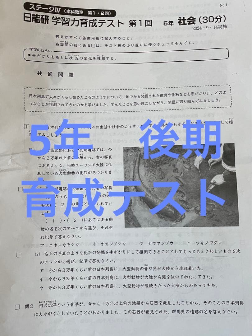 日能研 5年 学習力育成テスト