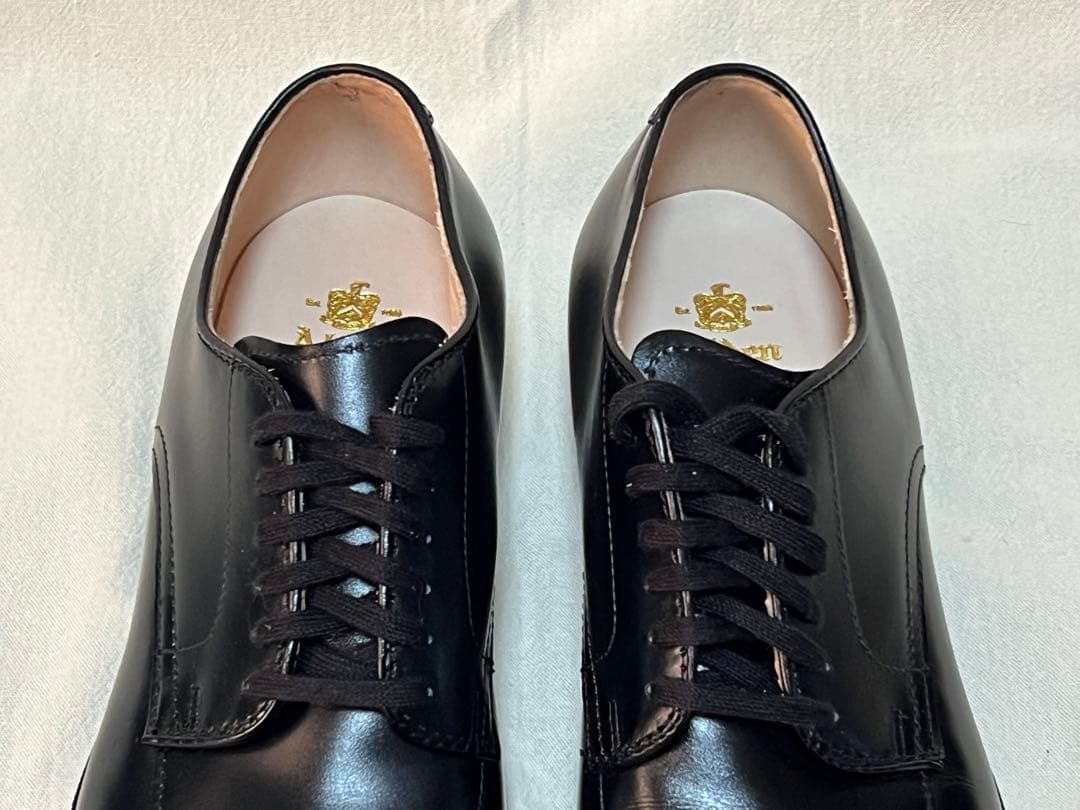 未使用品 新品 Alden 54411 オールデン Ｖチップ ドレス ラコタ