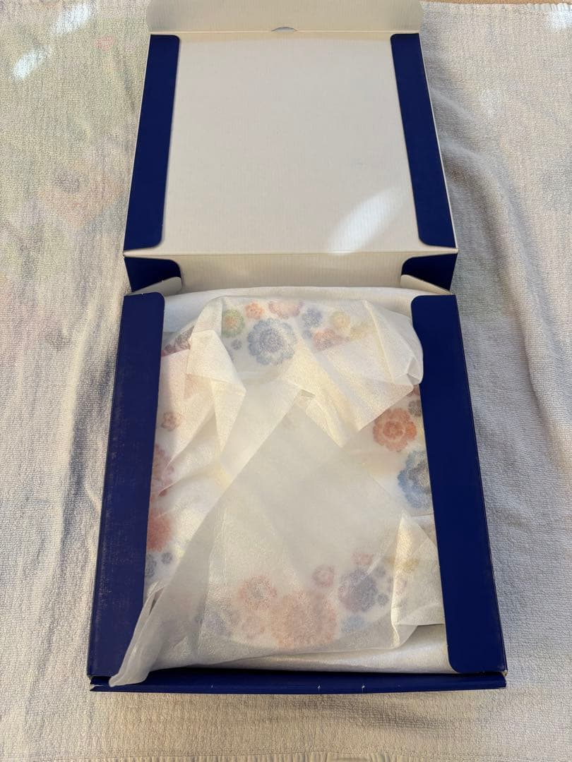 【新品未使用】大皿深皿セット Villeroy & Boch アムナットブルーム