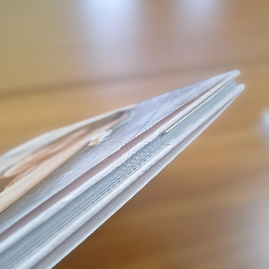 瑠璃色のカランドリエ 柊瑠美写真集