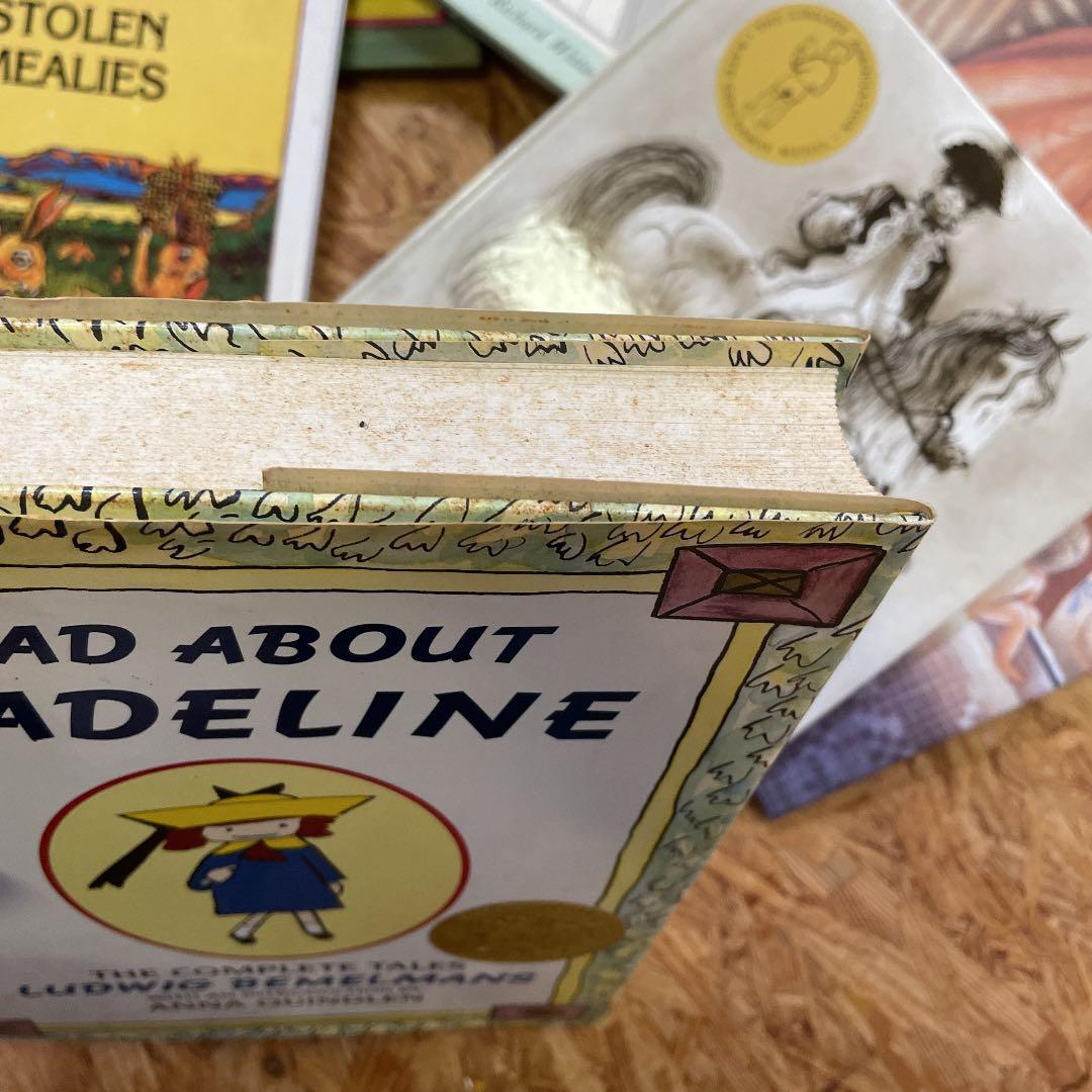 絵本　洋書　幼児から低学年向け　英語13冊セット