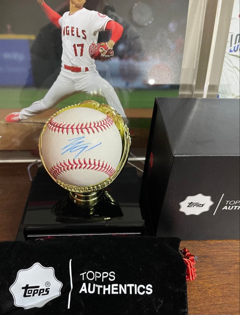 【S】大谷翔平 直筆サインボール 2018年 MLBホログラム