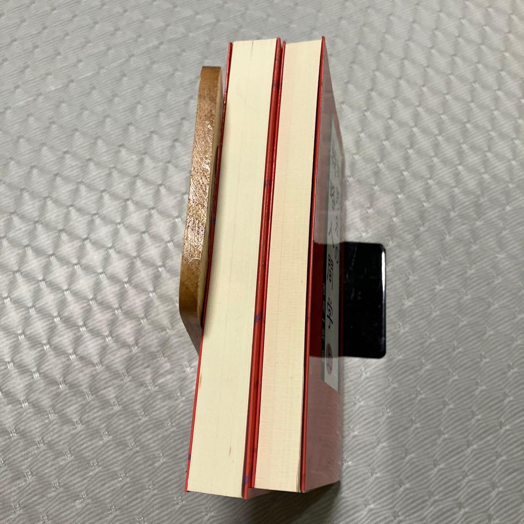 城野宏の戦略人間学 上下巻　2冊セット