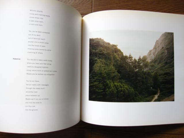 アート・デザイン・音楽 Angels in Fall - Karin Apollonia Muller