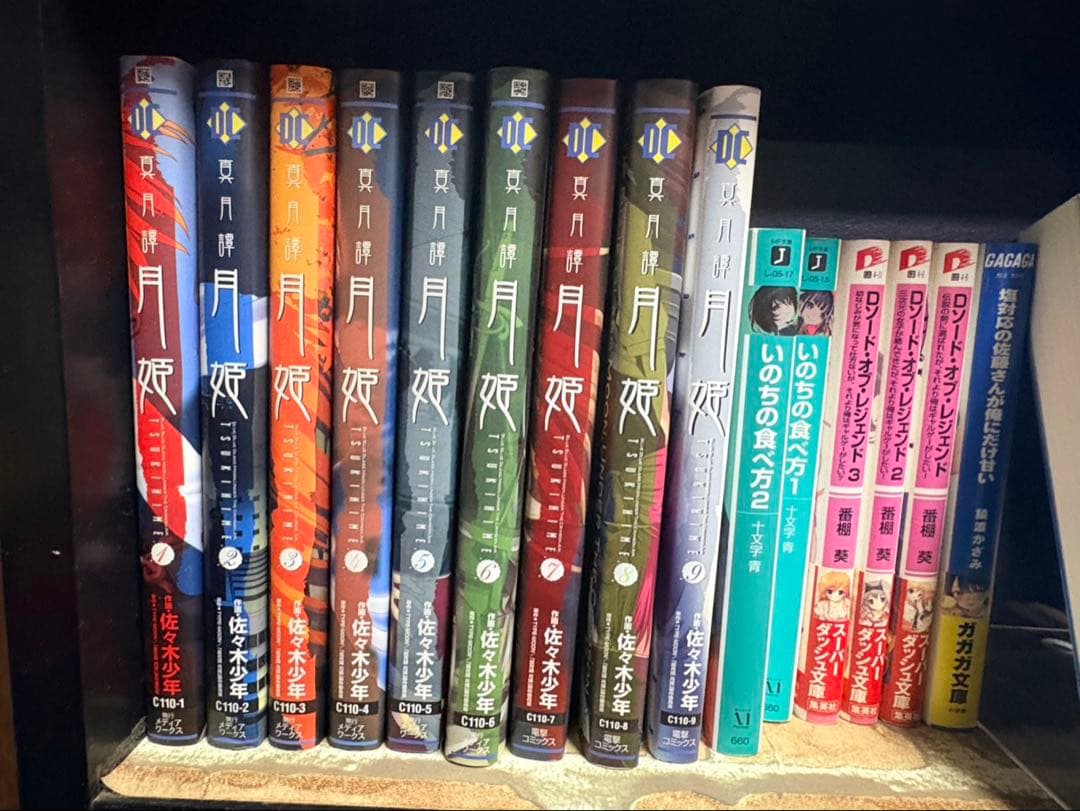 小説・漫画まとめ売り