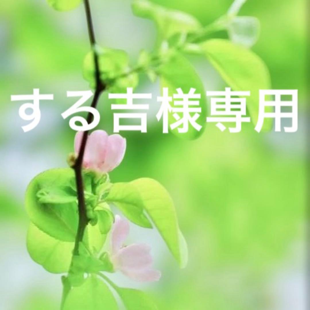 する吉ページです。フリース カラーレスベスト レディース38