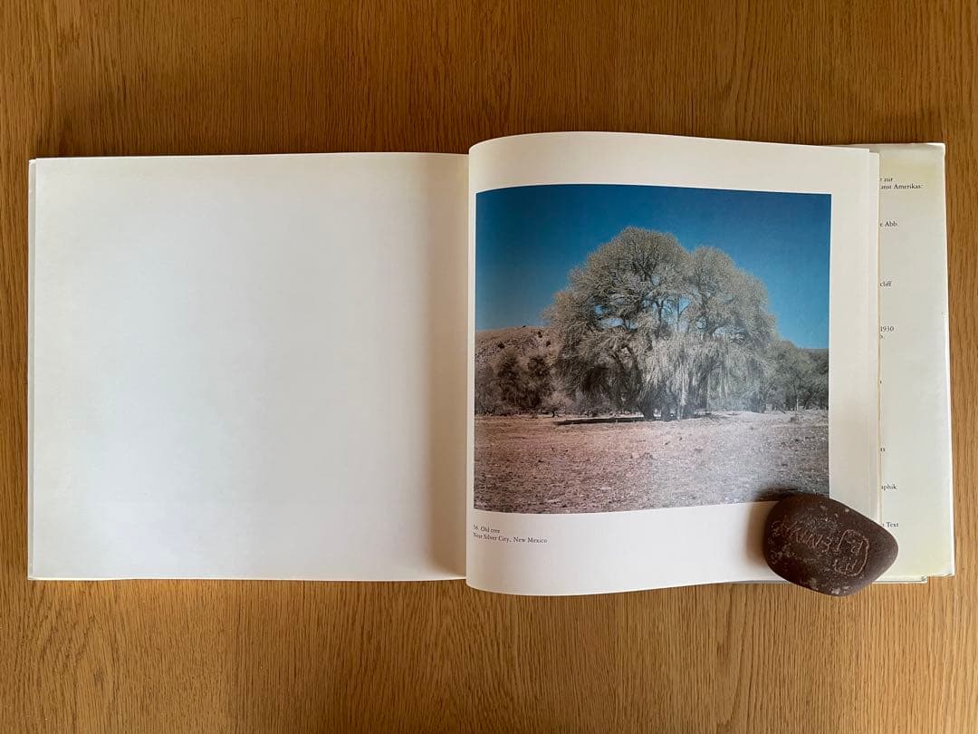 Ton-Chanヴィム・ヴェンダースWritten in the West