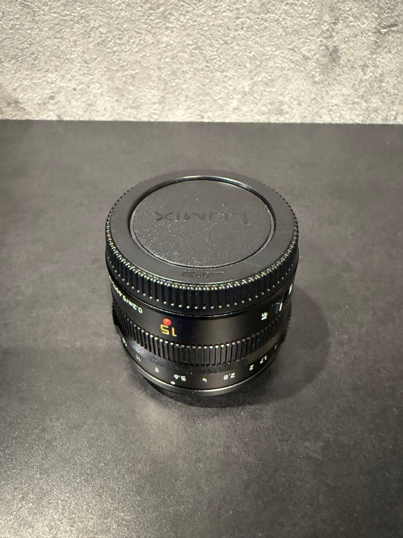 DG SUMMILUX 15mm F1.7とH-E08018 2個セット